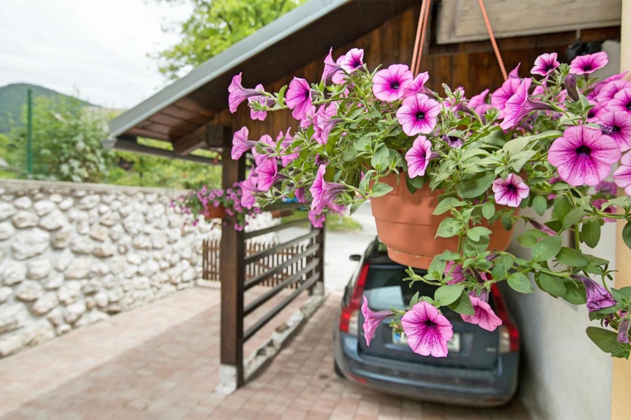 Apartments Katja Bohinj ภายนอก รูปภาพ